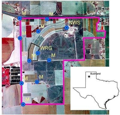 Trends in Runoff From Dryland, Cropped Fields on the Texas High Plains, and Implications for Their Management